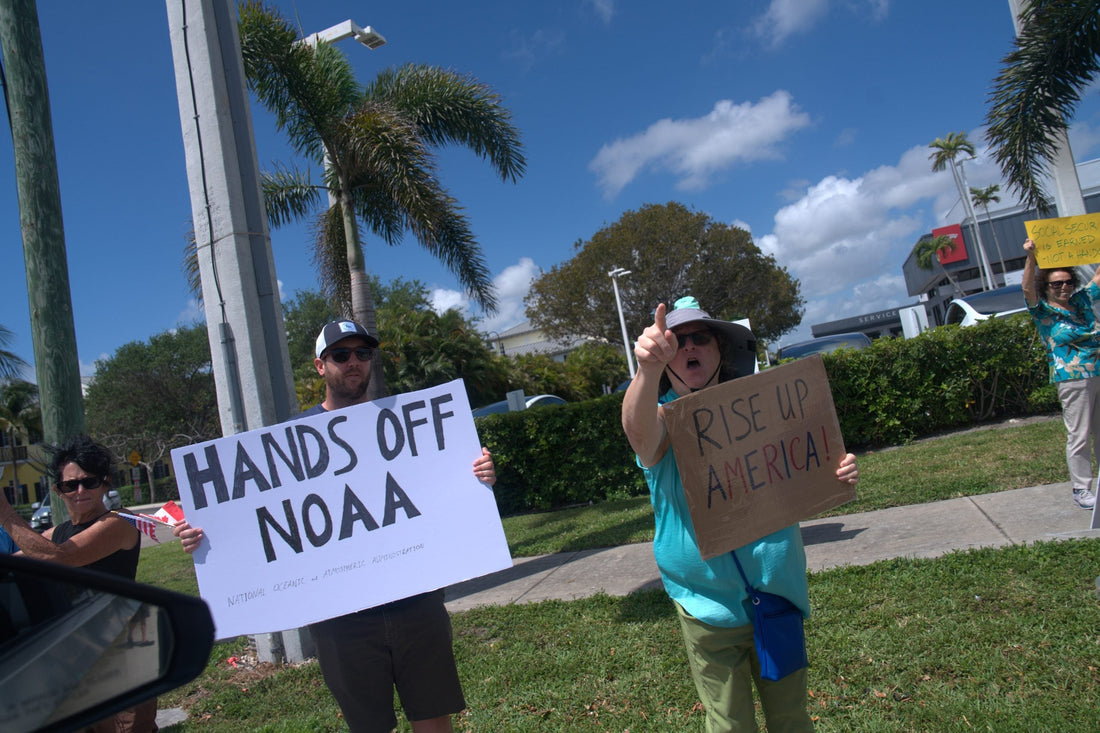 Tesla Takedown Movement