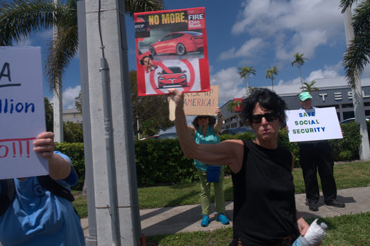 Tesla Takedown Movement